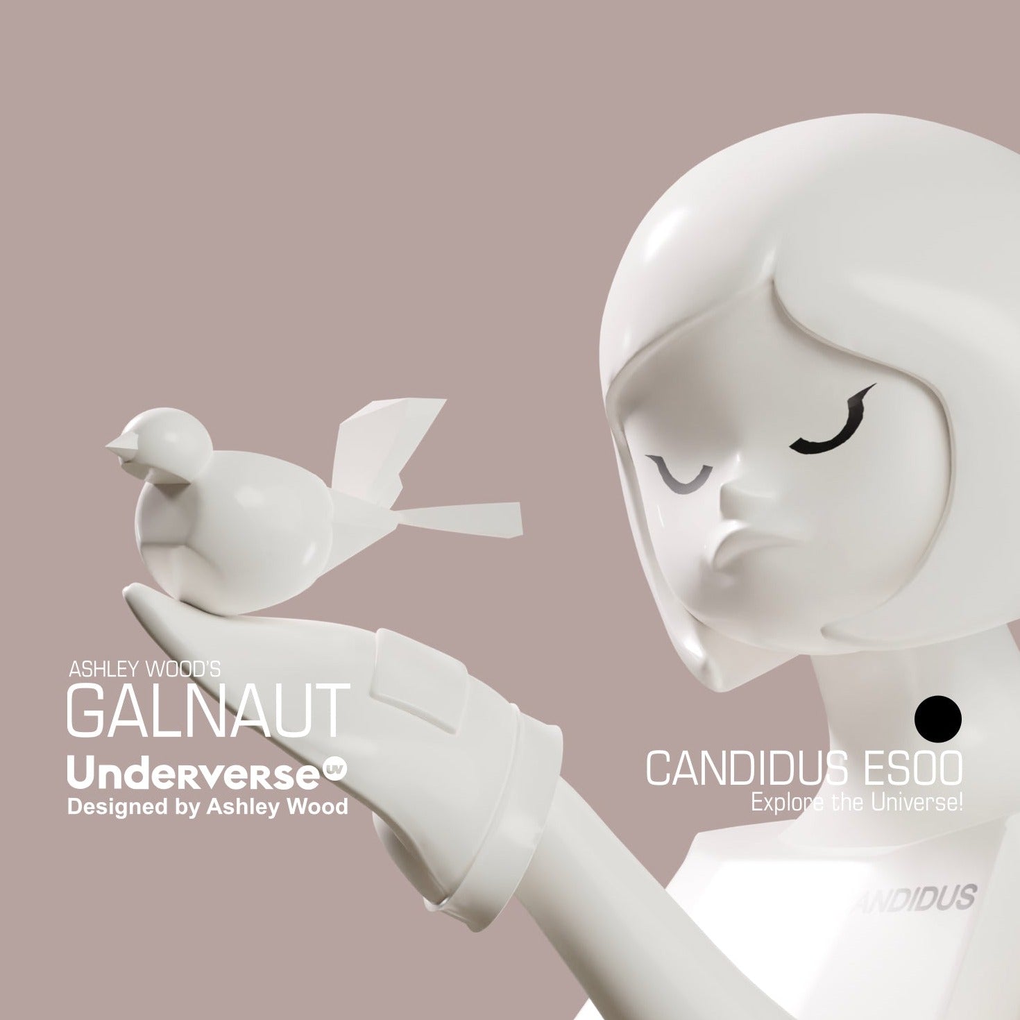 GALNAUT CANDIDUS LTD